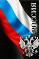 Обложка для паспорта Россия 