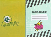 Анкета для мальчиков А5, Кот на самолете 16л 