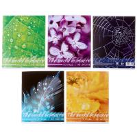 Тетрадь 48л кл Микромир, обл мел карт, блок офсет, 5вид МИКС 4167917 