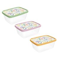 Контейнер для продуктов прямоугольный Ботаника пластик 3 цвета 0,85л 