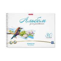 Альбом для рисования А4 на спирали ErichKrause Birds микроперфорация 30л 