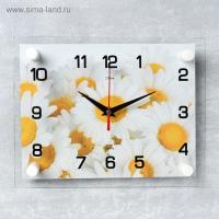 Часы настенные, серия: Цветы, "Ромашки", плавный ход, 20 х 26 см 2267864 