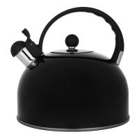 Чайник стальной 4,0л "Новара" индукция 