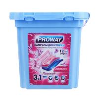 Капсулы для стирки PROWAY 11г 