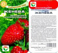 Земляника Женева, 10 шт (клубника) 