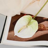 Цветы искусственные Антуриум белый 60см 