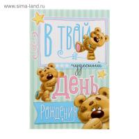 Открытка "В Твой День Рождения" 12 х 18 см   1255287 