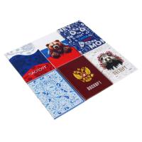 Обложка для паспорта ЮL ПВХ 13,6х9,5см 6 дизайнов 