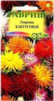 Георгина Кактусовидная смесь до 100 см, 0,2 г  