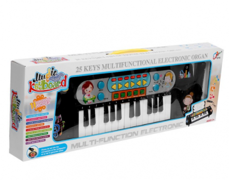 Синтезатор Играй и пой, 25 клавиш, микрофон, работает от батареек 