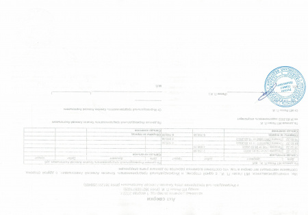 BERIOTTI Набор для создания прически 5 пр, поролон, полиэстер, сплав, 3 цвета 