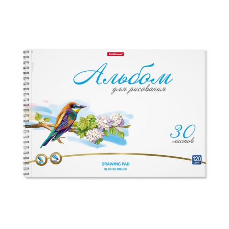 Альбом для рисования А4 на спирали ErichKrause Birds микроперфорация 30л 